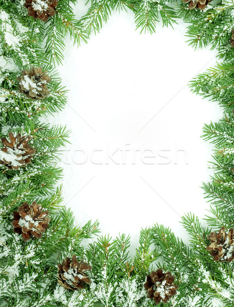 Karácsony váz hó izolált fehér zöld Stock fotó © bloodua