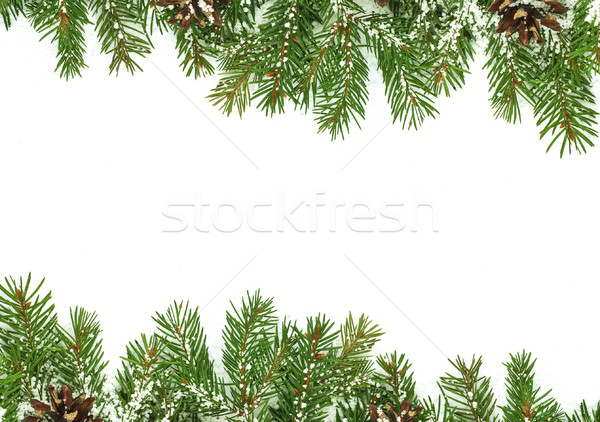 Zdjęcia stock: Christmas · struktura · śniegu · odizolowany · biały · lasu