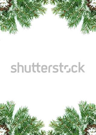 Zdjęcia stock: Christmas · struktura · śniegu · odizolowany · biały · zielone