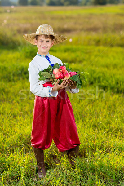 Stok fotoğraf: Mutlu · çiftçi · erkek · organik · elma