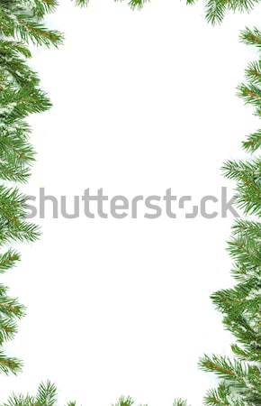 クリスマス フレームワーク 雪 孤立した 白 自然 ストックフォト © bloodua