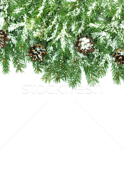 Karácsony váz hó izolált fehér zöld Stock fotó © bloodua