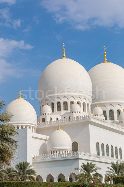 Mecset Abu Dhabi város egység Közel-Kelet Egyesült Arab Emírségek Stock fotó © bloodua