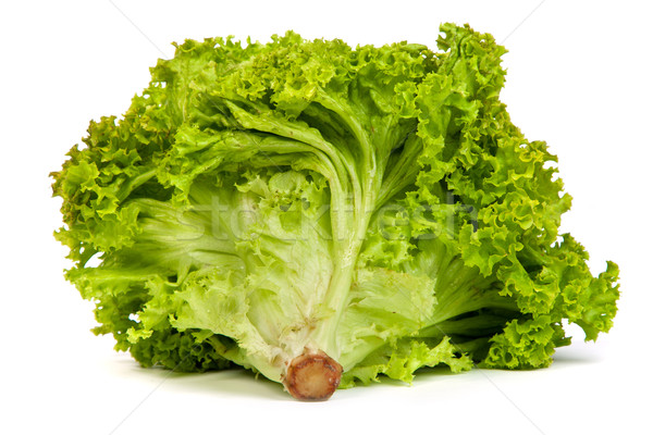 Fresh Green Lettuce isolated on white Stock photo © bloodua