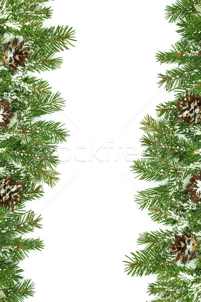 Christmas framework with snow and cones Stock photo © bloodua