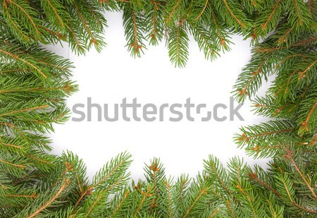 Karácsony váz zöld izolált fehér erdő Stock fotó © bloodua