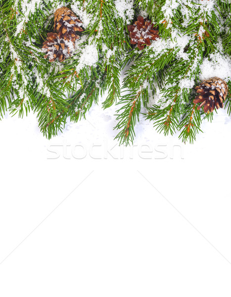 Stock fotó: Karácsony · váz · hó · izolált · fehér · fa