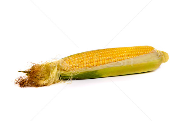 Fresh uncooked corn on the cob Stock photo © bloodua