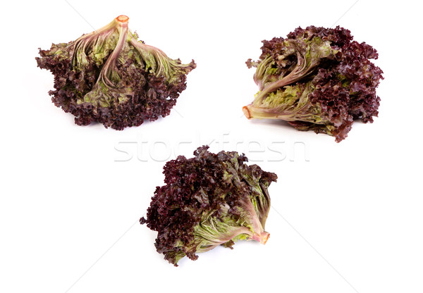 set of Fresh red Lettuce isolated on white Stock photo © bloodua