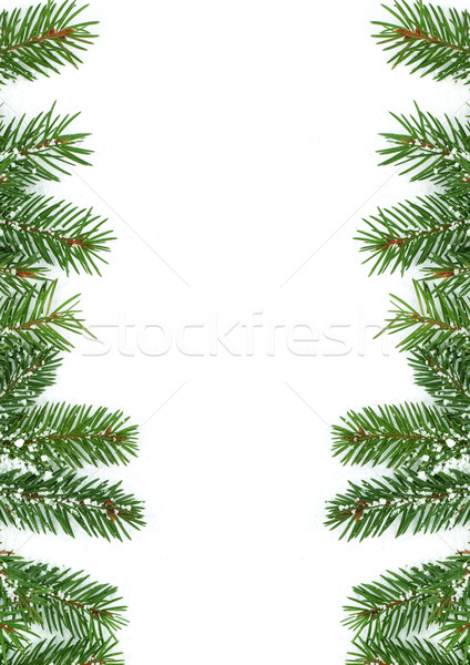 Christmas framework with snow Stock photo © bloodua