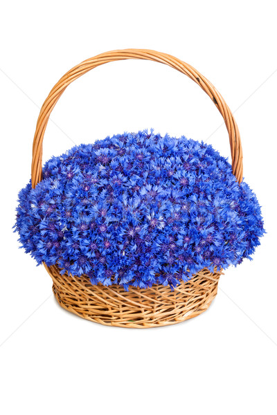 Stock photo: Beautiful blue cornflowers in a basket