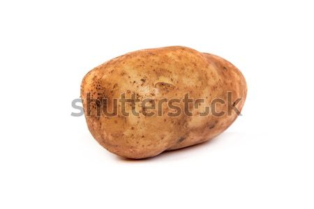 One potato isolated on white Stock photo © bloodua