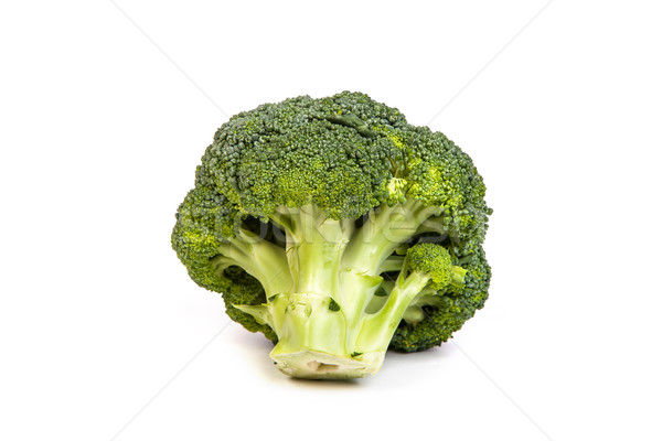 Single broccoli floret isolated on white Stock photo © bloodua