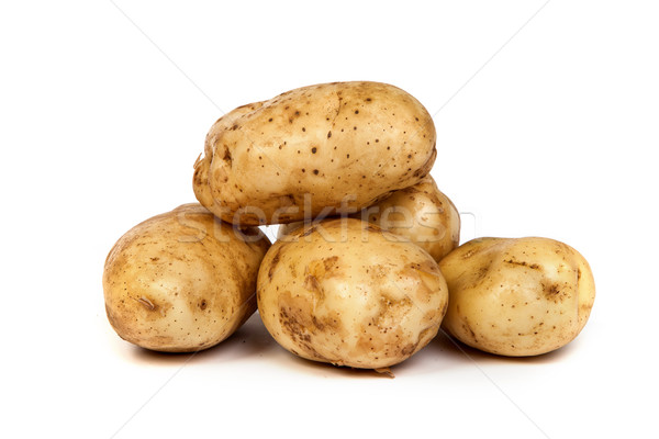 Group of potatoes isolated on white Stock photo © bloodua