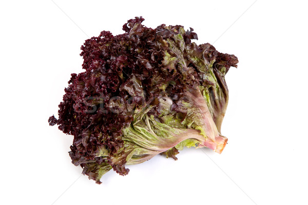 Fresh red Lettuce isolated on white Stock photo © bloodua