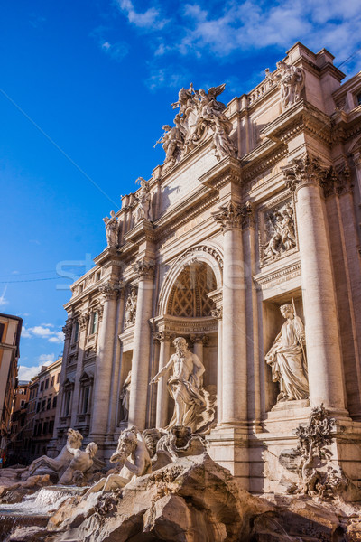 Trevi Çeşmesi ünlü işaret Roma çeşme dünya Stok fotoğraf © bloodua