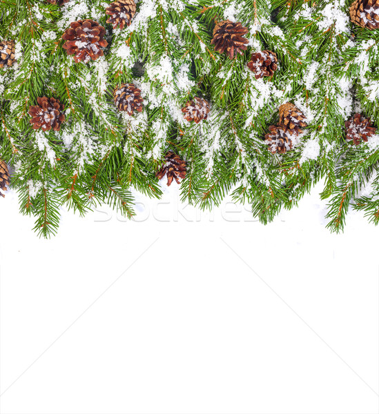 Natal quadro neve isolado branco árvore Foto stock © bloodua