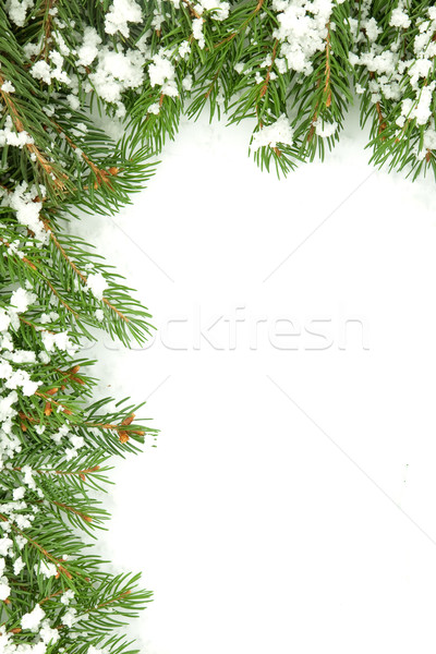 Stockfoto: Christmas · sneeuw · geïsoleerd · witte · bos