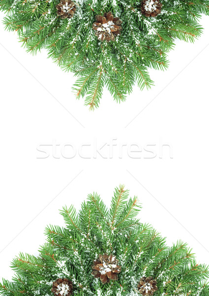 Christmas struktura śniegu odizolowany biały zielone Zdjęcia stock © bloodua