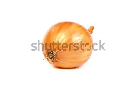 One onion, isolated on white Stock photo © bloodua