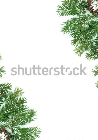 Weihnachten Rahmen Schnee Isoliert Weiss Wald Stock Foto C Bloodua 3618978 Stockfresh