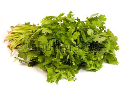 Parsley tied in a bunch with twine isolated Stock photo © bloodua