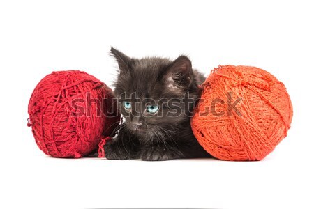 Noir chaton jouer rouge balle fils [[stock_photo]] © bloodua
