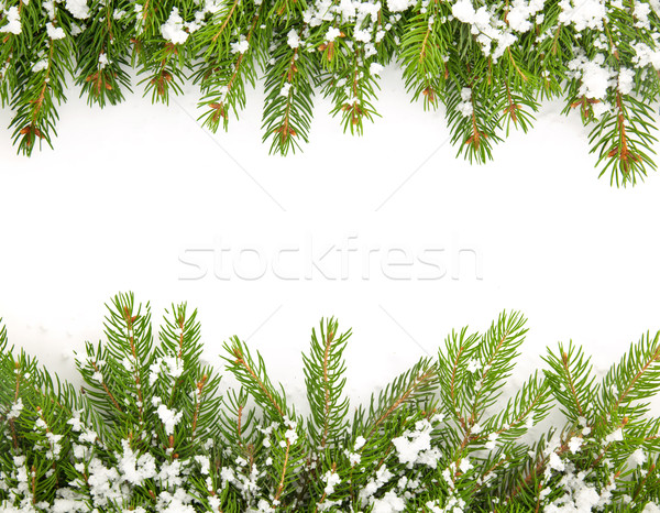Karácsony váz hó izolált fehér fa Stock fotó © bloodua
