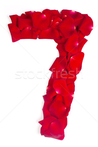 number 7 made from red petals rose on white Stock photo © bloodua