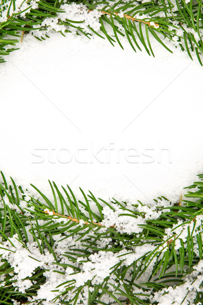 Christmas framework with snow Stock photo © bloodua