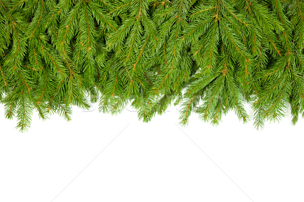 Karácsony váz zöld izolált fehér fa Stock fotó © bloodua