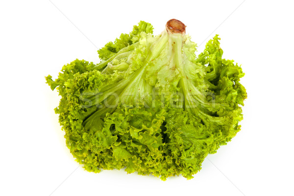 Fresh Green Lettuce isolated on white Stock photo © bloodua