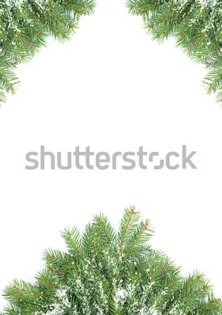 Stockfoto: Christmas · sneeuw · geïsoleerd · witte · groene