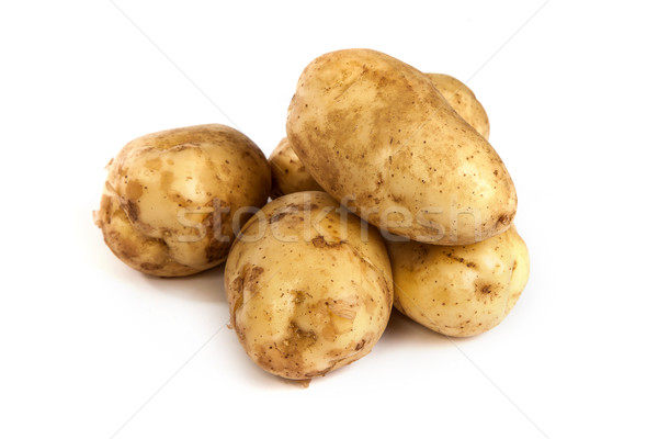 Group of potatoes isolated on white Stock photo © bloodua