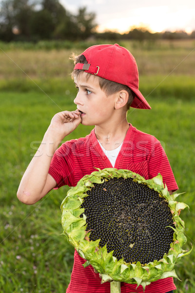 Young happy boy hold sunflower in a garden Stock photo © bloodua