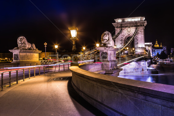 Gece görmek ünlü zincir köprü Budapeşte Stok fotoğraf © bloodua