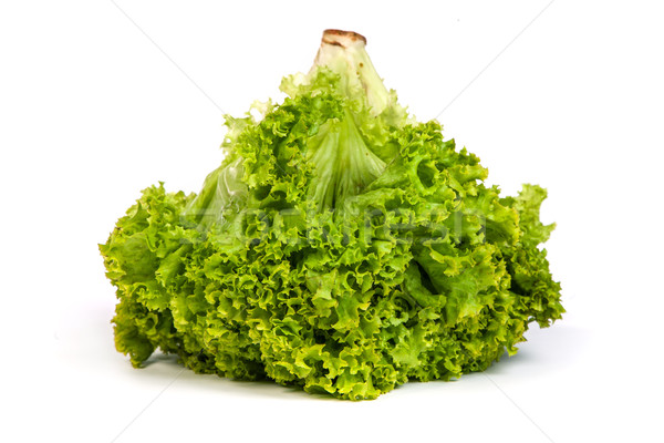 Fresh Green Lettuce isolated on white Stock photo © bloodua