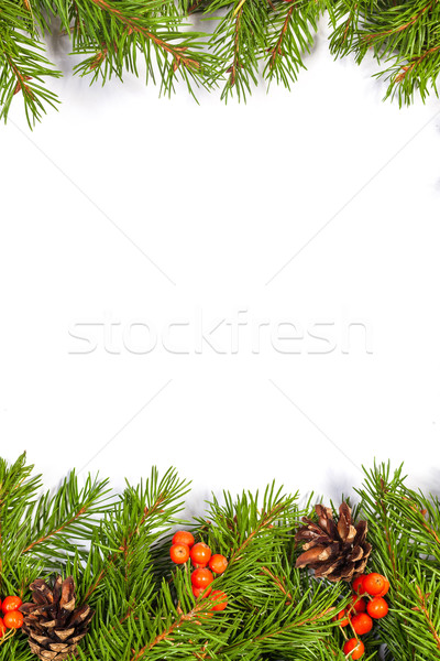 Рождества зеленый ягодные изолированный белый Сток-фото © bloodua