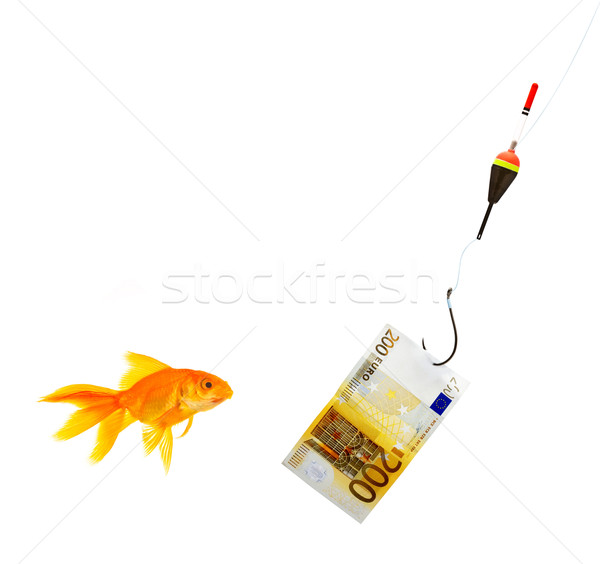 Goldfish Stock photo © bloodua