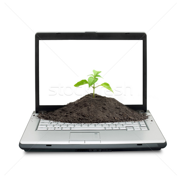 Foto stock: Abrir · laptop · teclado · tela · isolado