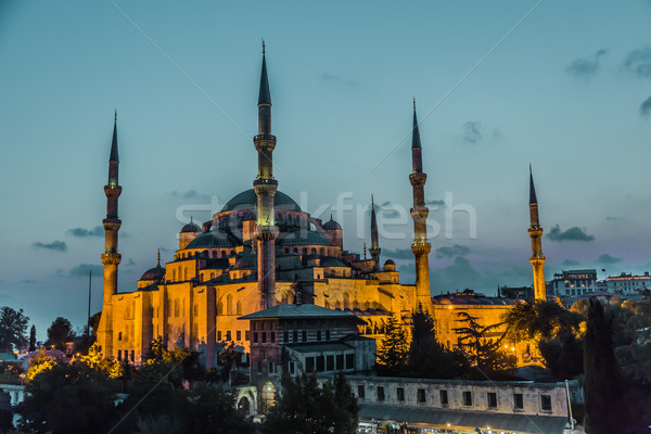 Sultan Ahmed Mosque (the Blue Mosque), Istanbul, Turkey Stock photo © bloodua