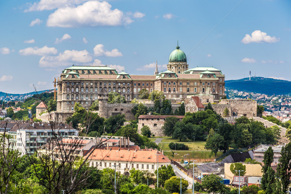 Budapest királyi palota reggel kilátás oldal Stock fotó © bloodua