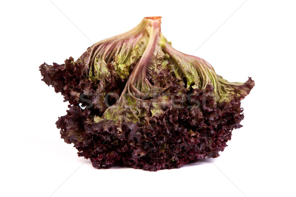 Fresh red Lettuce isolated on white Stock photo © bloodua