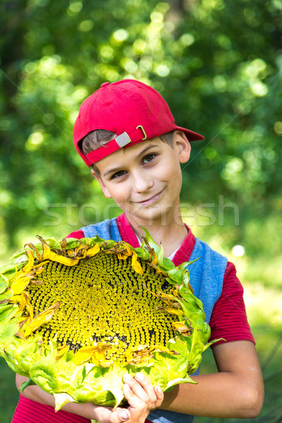Stock photo: Young happy boy hold sunflower in a garden