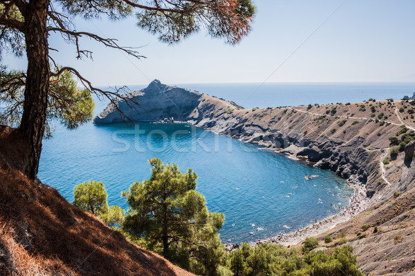 Verano vista playa negro mar Ucrania Foto stock © bloodua