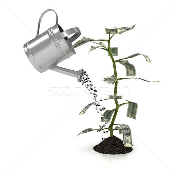 錢 植物 白 計算機 產生 圖像 商業照片 © blotty