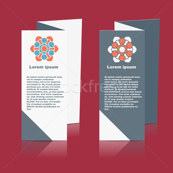 Brochures ontwerp sociale diagram presentatie Stockfoto © blotty
