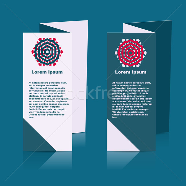 Brochures ontwerp sociale diagram presentatie Stockfoto © blotty