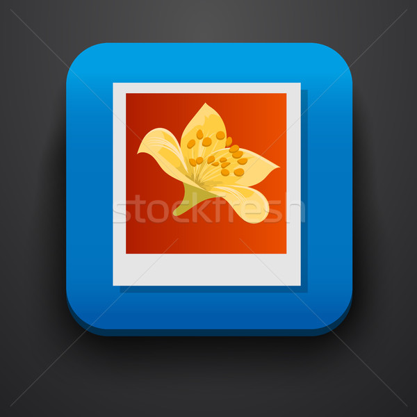 Polaroid фото символ икона синий вектора Сток-фото © blotty