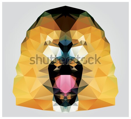 Geometric polygon tiger head, triangle pattern design, vector il Stock photo © BlueLela